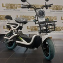 Electric Bike 1019